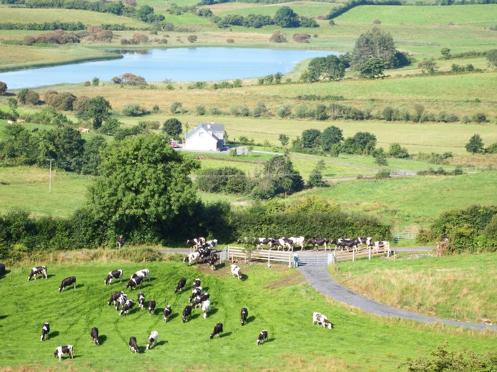 Coach House Hotel Sligo Ballymote المظهر الخارجي الصورة